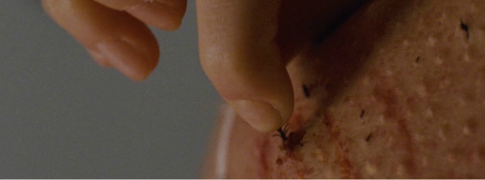 plano detalhe em Cisne Negro