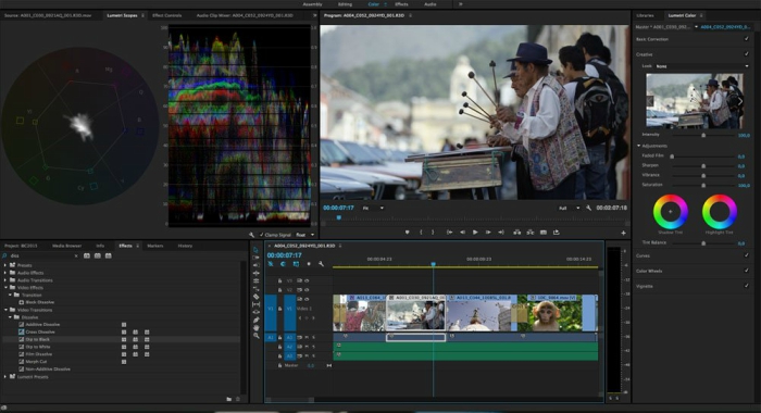 Adobe Premiere Pro (Lumetri) screenshot